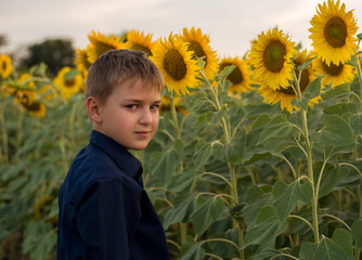 boy with sunflowers. A child of the European race holds a sunflower  in his hands on a blurred background.  Sunflowers fields. Copy space. Summer landscape. Blue sky.