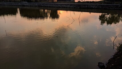reflection of trees in water