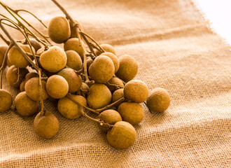 Close up Longan fruit , Chiangmai Thailand