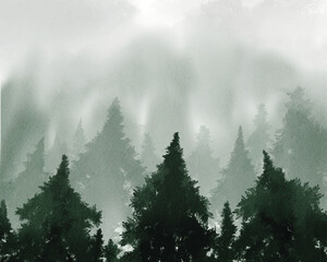 Greenery rainforest pine tree background