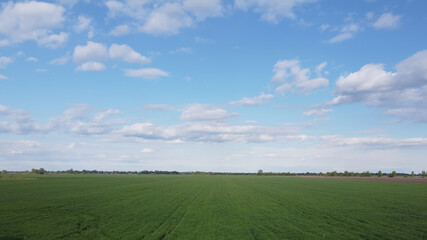 Blue sky over a green field, aerial view. Farmland landscape.