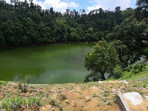 Deoria Tal trek, View of Himalayas, Deoria trek, Trek to Deoria Tal, Chopta, Chandrashilla peak, Lake in woods, a lake in forest, Lake in Pinewoods