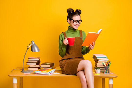 Photo of positive girl teacher sit table read reader textbook hold mug beverage wear green sweater overall skirt isolated over bright shine color background
