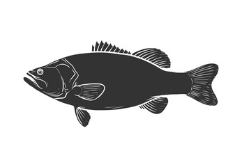 Largemouth bass silhouette, hand drawn vector illustration of a largemouth bass game fish, isolated in white background.