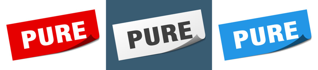 pure grunge vintage retro band. pure ribbon