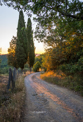 country road in the morning
Toscana, Italy