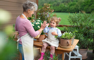 Senior grandmother with small granddaughter gardening on balcony in summer.