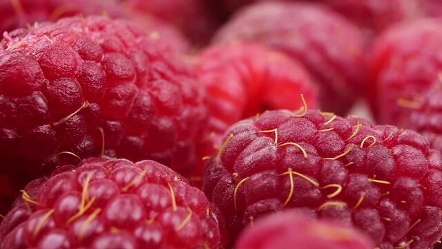 raspberry berry on a white background macro