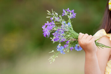 Fototapeta na wymiar Sweet little girl holding bouquet of summer purple flowers in hands. Close up photo. Copy space