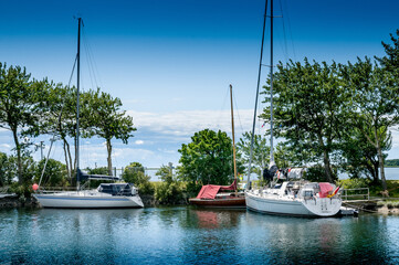 Moored sailboats