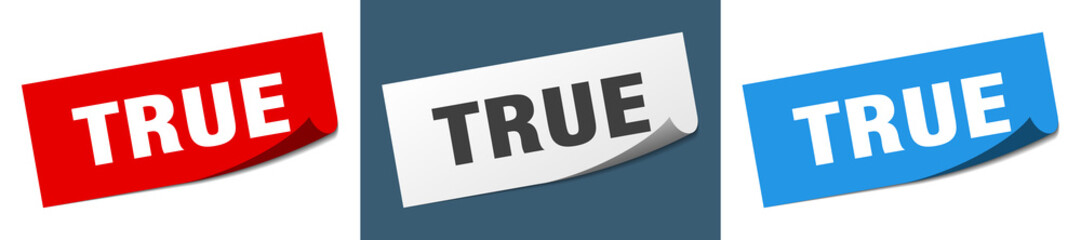 true grunge vintage retro band. true ribbon