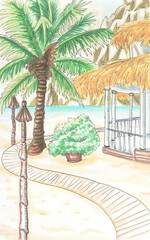 summer palm ocean beach view