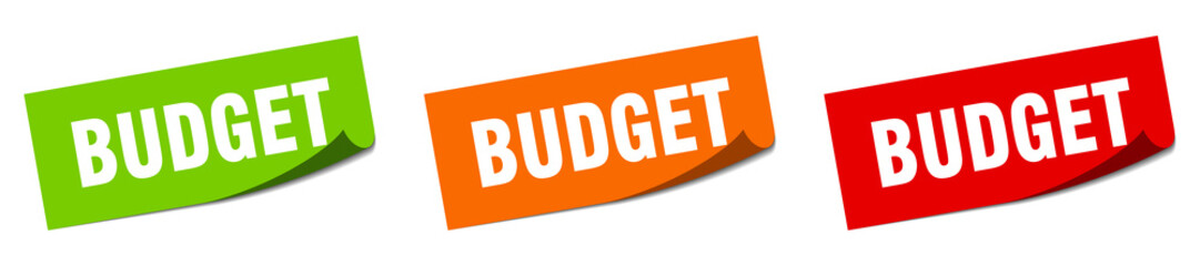 budget grunge vintage retro band. budget ribbon