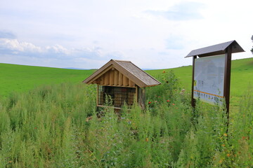 wild bee and insect shelter hotel