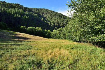 Fototapeta na wymiar Prairie in the Caurel mountains in Galicia, Spain
