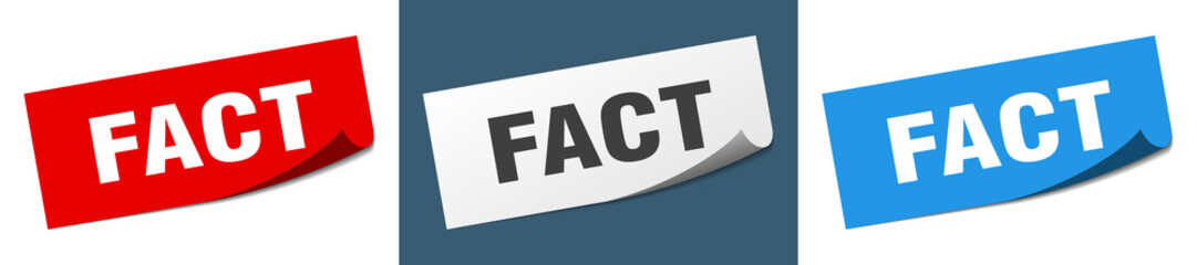 fact grunge vintage retro band. fact ribbon