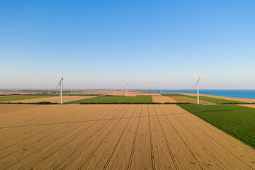 Sunset over the windmills. Wind turbines over fields of wheat and sunflowers