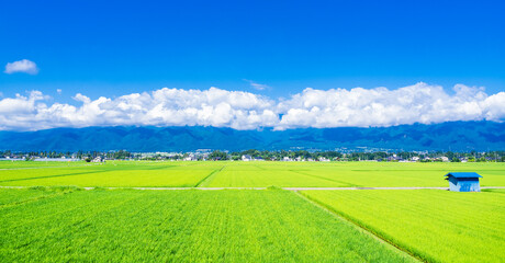 夏の信州　安曇野の田園風景　ワイド