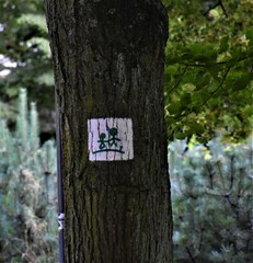 Znaki tras turystycznych 