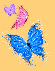 butterfly vector illustration