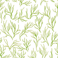 Plant seamless pattern similar to dill or seaweed drawn by hand. Isolated on white. Vector illustration