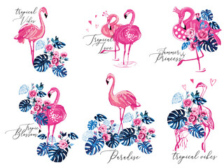 Flamingo t-shirt design. Love tropical vibes, paradise flowers, birds princess. Watercolor vector composition. Wild nature decoration on white background. Colorful hand drawn illustration.