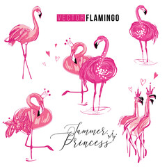 Flamingo fashion princess love. Watercolor t-shirt design elements. Vector wild nature decoration on white background. Colorful hand drawn illustration.
