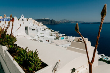 Fototapeta premium Santorini, Greece - romantic island with white buildings