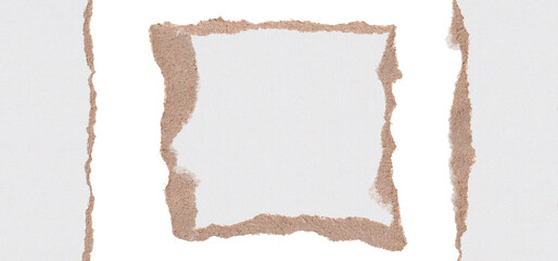 Ripped paper. Universal elements set on white background