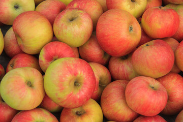 Ripe red and yellow apples, close-up