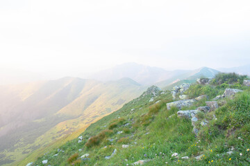 Tatry Krajobraz i Zwierzęta © RASSUMSEN