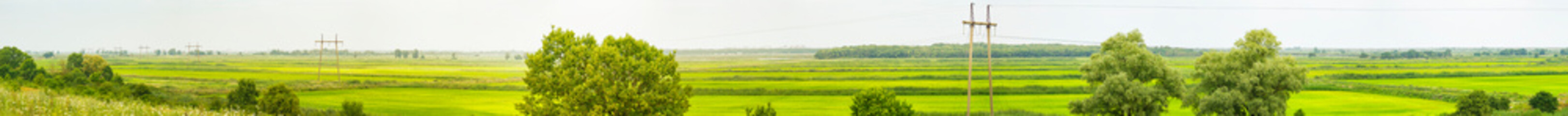 Panorama of rice fields, broken by rectangular checks
