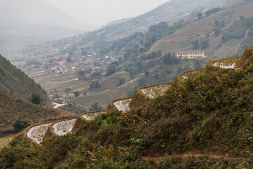 Fototapeta na wymiar Terraced fields in Sapa, northern Vietnam with houses behind in distance
