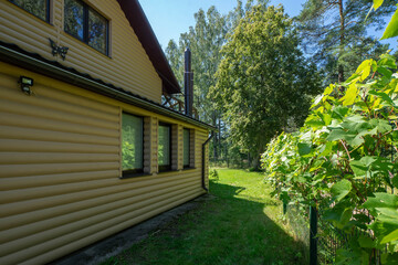 Fototapeta na wymiar An exterior of private country house near the fores. Siding wall. Sunny summer day.