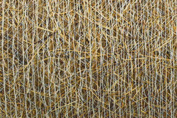 Close up hay from the grass