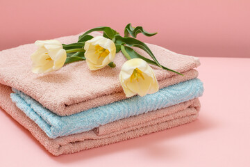 Obraz na płótnie Canvas Stack of soft terry towels with tulips on a pink background.