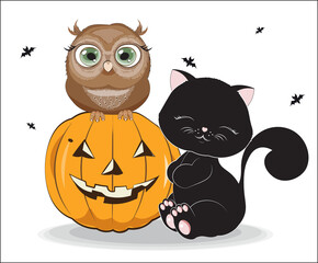 black Halloween cat and owl on pumpkin