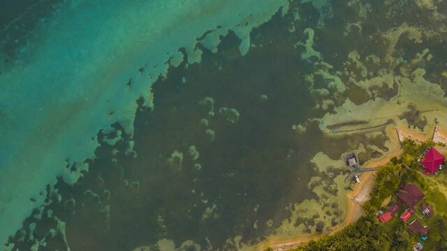 Hyperlapse of Bocas del Toro, Isla Carenero during daytime