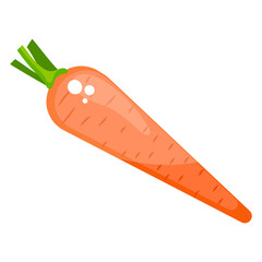 
Bunny’s favorite food, a carrot flat vector design 
