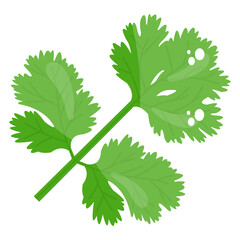 
Glyph coriander leaves vector design 
