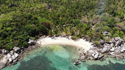 Bungalows and green coconut palms on tropical beach. Cottages on sandy shore of diving and snorkeling resort on Koh Tao paradise island near calm blue sea on sunny day in Thailand. Drone view.