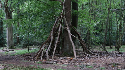 Naklejka na ściany i meble Bushcraft shelter in the forest survival