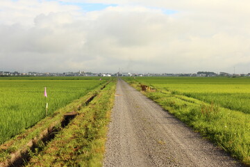 農道