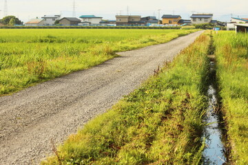 農道