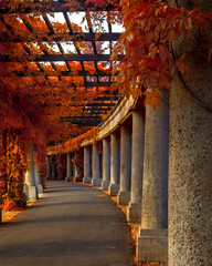 Columns leading garden path. Full spectrum abstract vision.