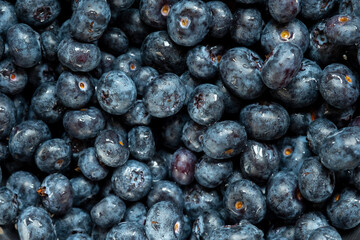 Blueberries with drops of water close up shot