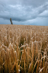 Cú Chulainn Standing stone in Co. Louth. Ireland