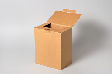 Brown cardboard carton box, isolated