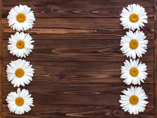 Chamomile on dark wooden background. Flat lay, copy space