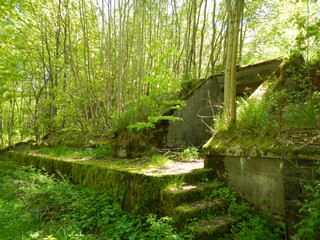 Obraz premium Alte Bunkeranlagen